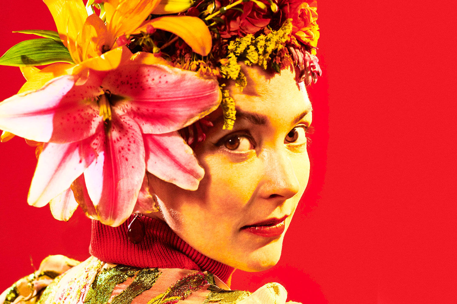 amandashires